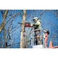 Piła łańcuchowa akumulatorowa Milwaukee M18 FCHS-0 (4933464723)11