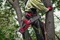 Piła łańcuchowa do gałęzi 200 mm Milwaukee M18 FHS20-0 (4933480117) 16